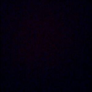 Meet your Posher, Charlotte